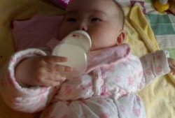 我抱奶瓶吃瓜免费阅读